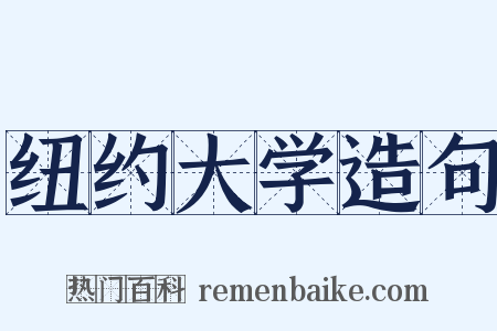 纽约大学造句是什么意思的图片